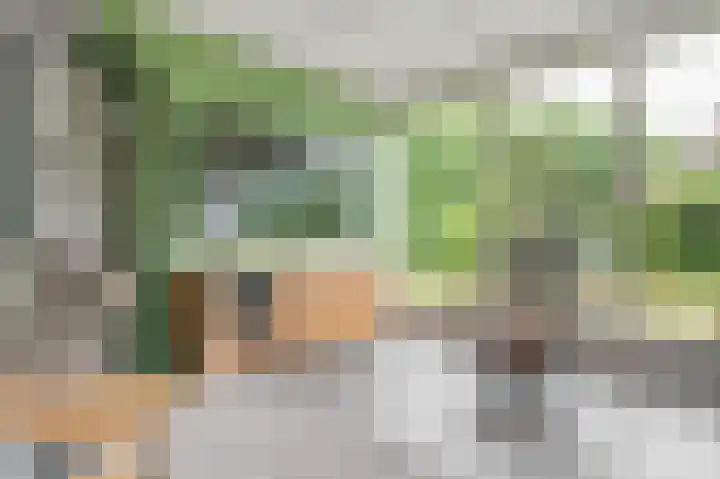 Eerste Compagnonsweg 27 Bontebok thumbnail 52