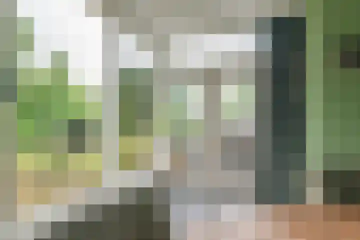 Eerste Compagnonsweg 27 Bontebok thumbnail 53