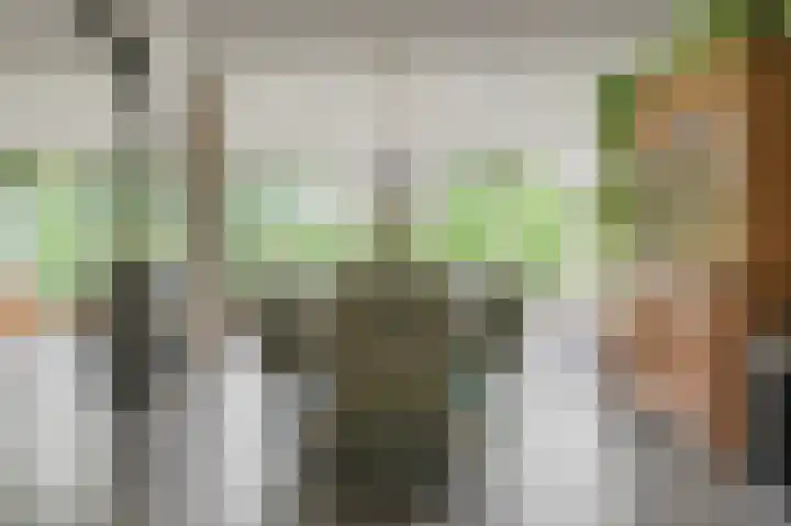 Eerste Compagnonsweg 27 Bontebok thumbnail 57