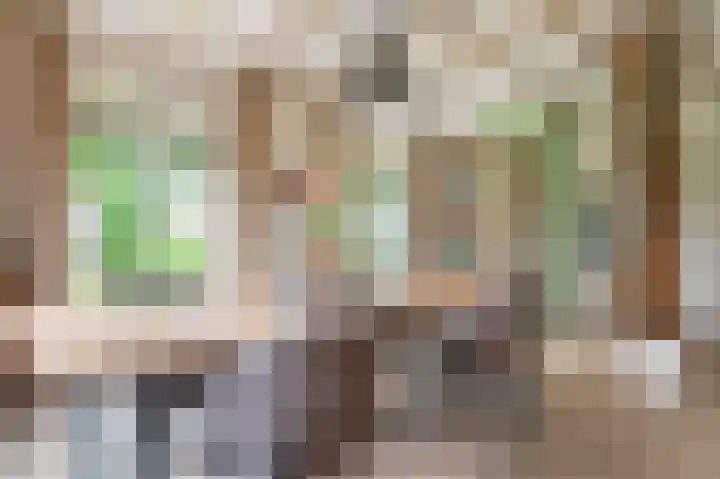 Eerste Compagnonsweg 27 Bontebok thumbnail 66