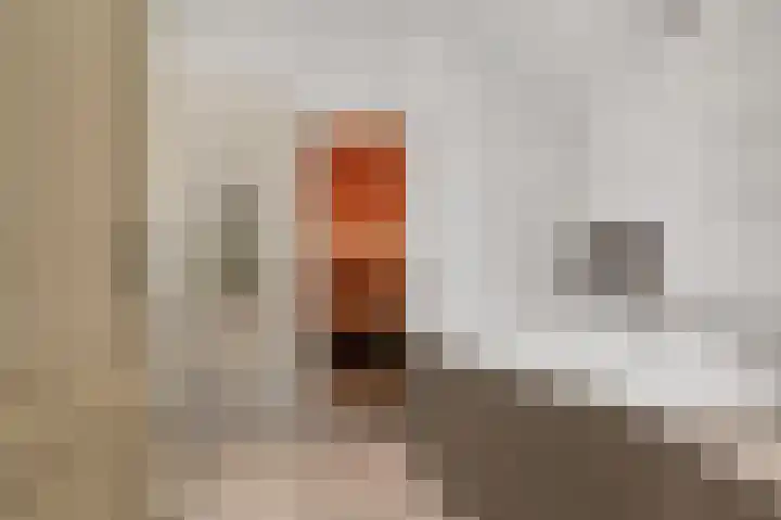 Eerste Compagnonsweg 27 Bontebok thumbnail 68