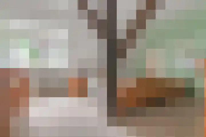 Eerste Compagnonsweg 27 Bontebok thumbnail 81