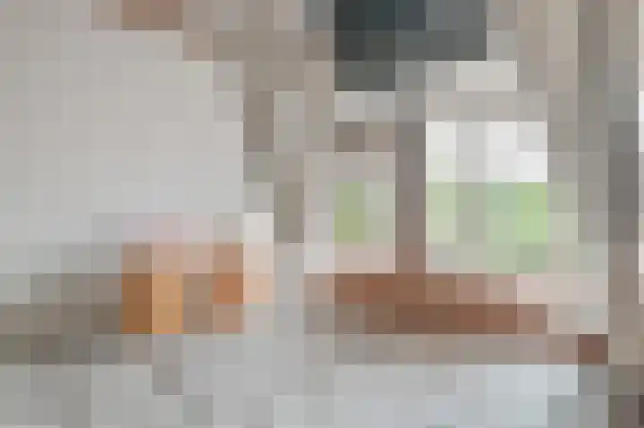 Eerste Compagnonsweg 27 Bontebok thumbnail 85