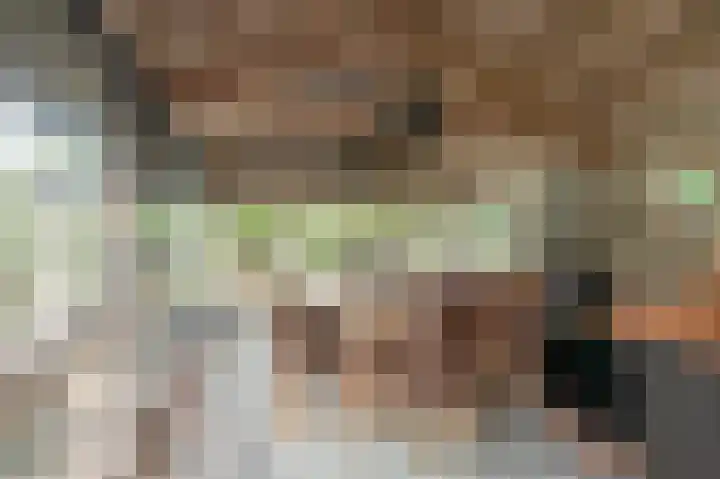 Eerste Compagnonsweg 27 Bontebok thumbnail 89