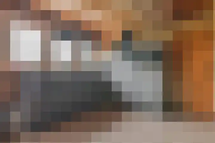 Eerste Compagnonsweg 27 Bontebok thumbnail 98