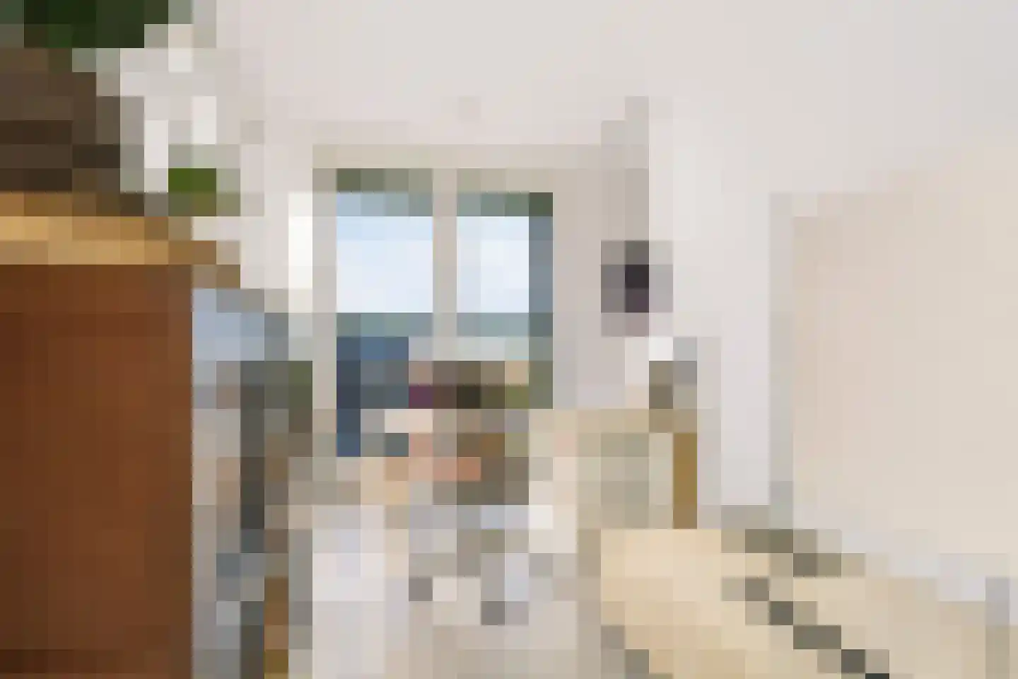 Eerste Constantijn Huygensstraat 32 A Amsterdam thumbnail 6