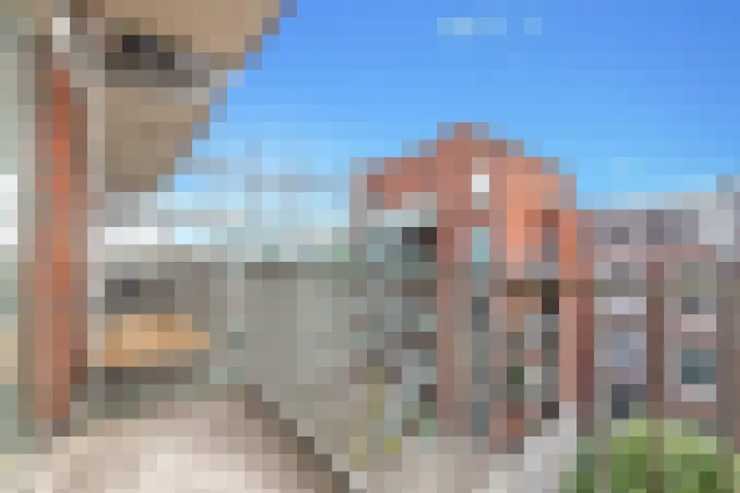 Eerste Constantijn Huygensstraat 54 F Amsterdam thumbnail 12