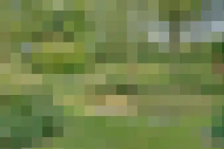 Eerste Dijk 4 Sint-Maartensdijk thumbnail 100