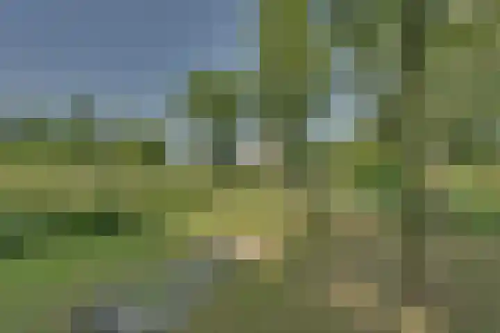 Eerste Dijk 4 Sint-Maartensdijk thumbnail 101