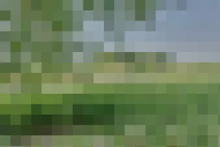 Eerste Dijk 4 Sint-Maartensdijk thumbnail 102