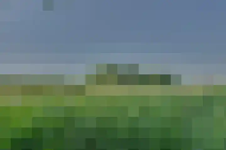 Eerste Dijk 4 Sint-Maartensdijk thumbnail 103