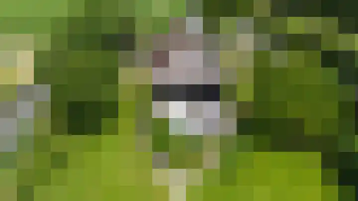 Eerste Dijk 4 Sint-Maartensdijk thumbnail 106