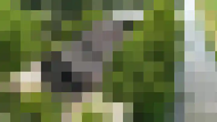 Eerste Dijk 4 Sint-Maartensdijk thumbnail 107
