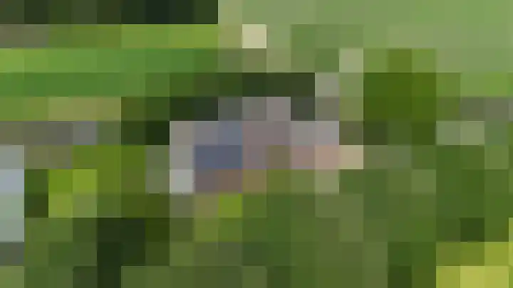 Eerste Dijk 4 Sint-Maartensdijk thumbnail 108