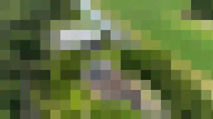 Eerste Dijk 4 Sint-Maartensdijk thumbnail 109
