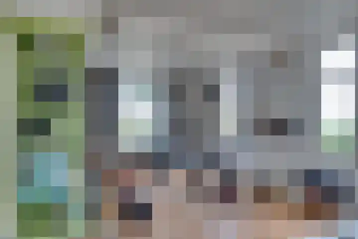 Eerste Dijk 4 Sint-Maartensdijk thumbnail 11