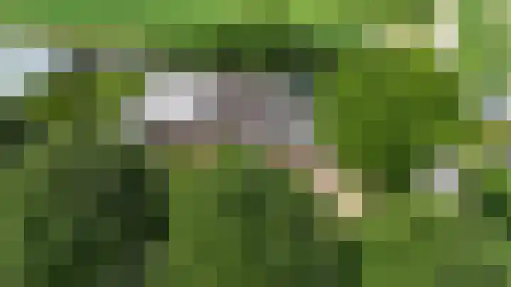 Eerste Dijk 4 Sint-Maartensdijk thumbnail 110