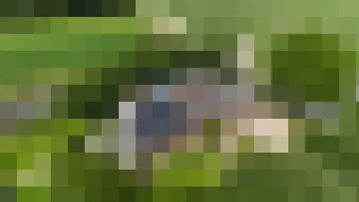 Eerste Dijk 4 Sint-Maartensdijk thumbnail 111