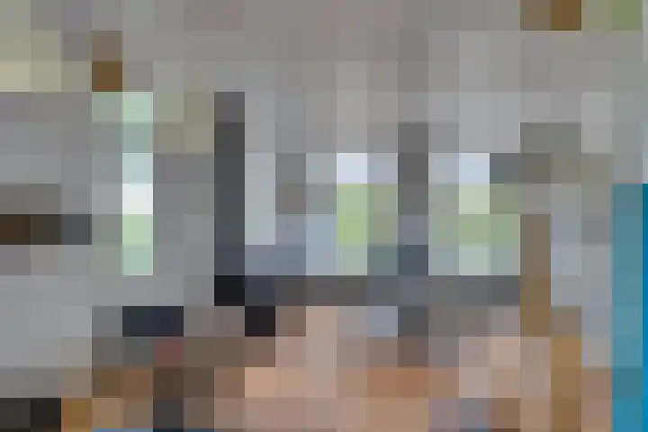 Eerste Dijk 4 Sint-Maartensdijk thumbnail 13
