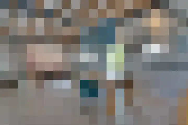Eerste Dijk 4 Sint-Maartensdijk thumbnail 15