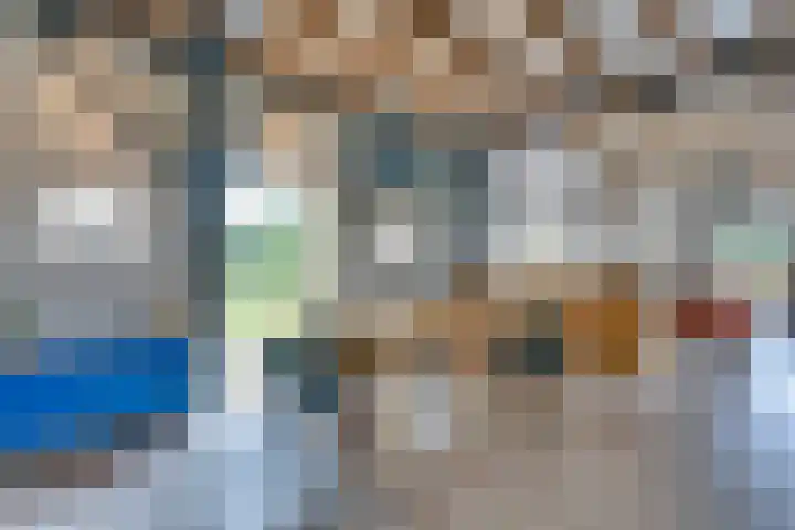 Eerste Dijk 4 Sint-Maartensdijk thumbnail 17