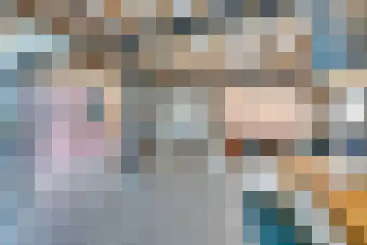 Eerste Dijk 4 Sint-Maartensdijk thumbnail 24