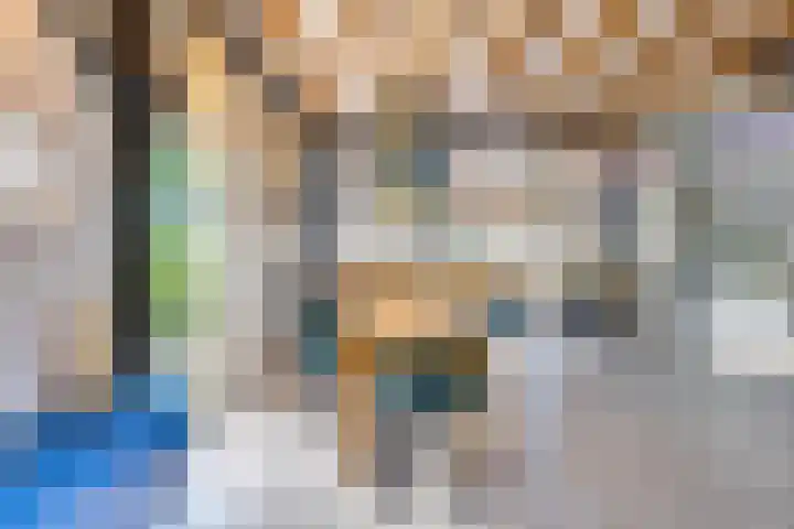 Eerste Dijk 4 Sint-Maartensdijk thumbnail 26