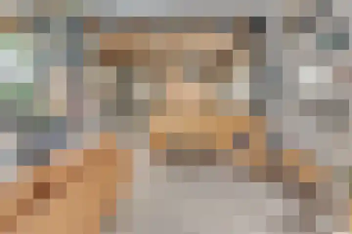 Eerste Dijk 4 Sint-Maartensdijk thumbnail 28
