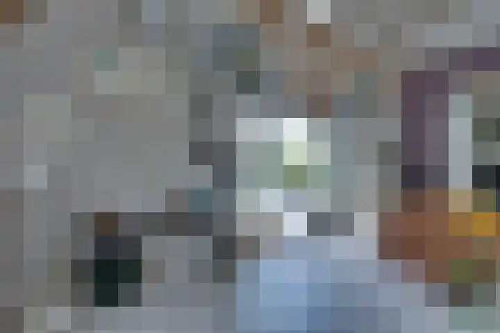 Eerste Dijk 4 Sint-Maartensdijk thumbnail 33