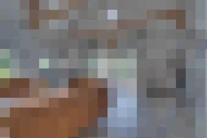 Eerste Dijk 4 Sint-Maartensdijk thumbnail 34