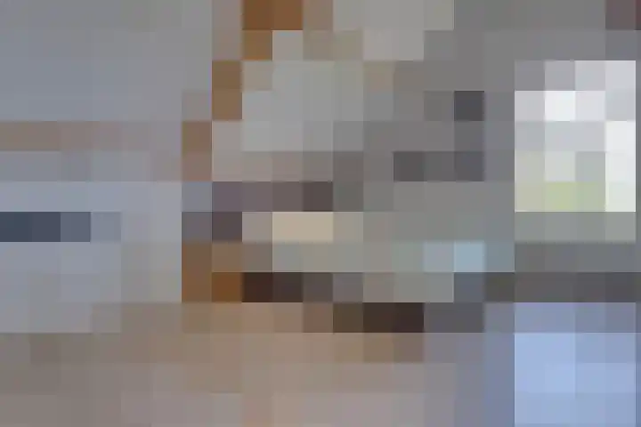 Eerste Dijk 4 Sint-Maartensdijk thumbnail 38