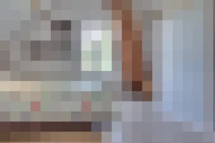 Eerste Dijk 4 Sint-Maartensdijk thumbnail 39