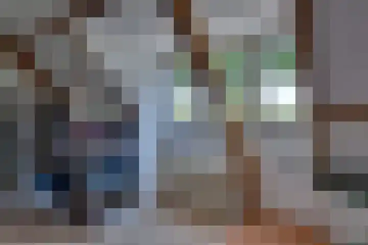 Eerste Dijk 4 Sint-Maartensdijk thumbnail 41