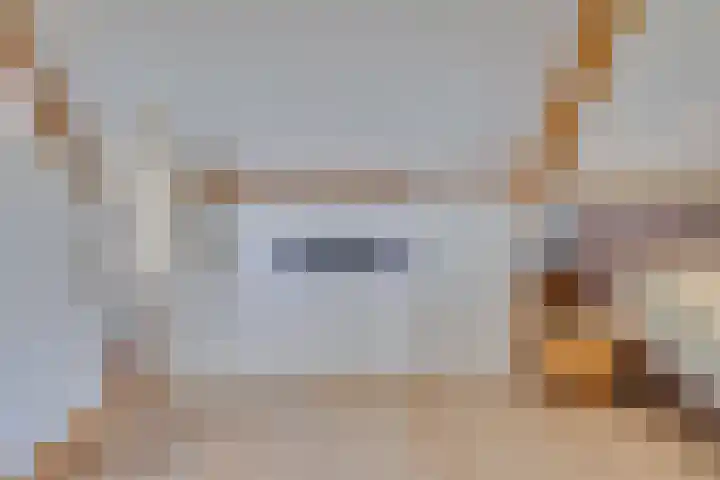 Eerste Dijk 4 Sint-Maartensdijk thumbnail 42