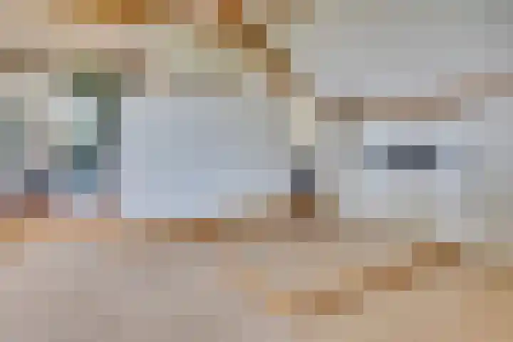 Eerste Dijk 4 Sint-Maartensdijk thumbnail 43
