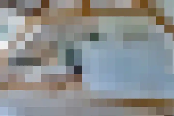 Eerste Dijk 4 Sint-Maartensdijk thumbnail 44