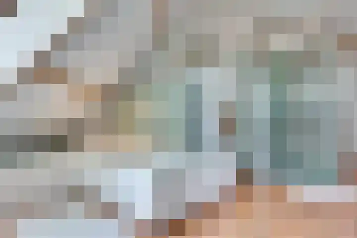 Eerste Dijk 4 Sint-Maartensdijk thumbnail 46