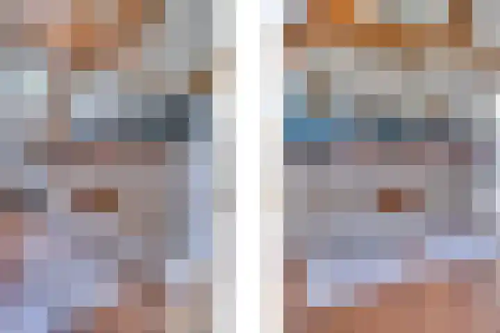 Eerste Dijk 4 Sint-Maartensdijk thumbnail 48