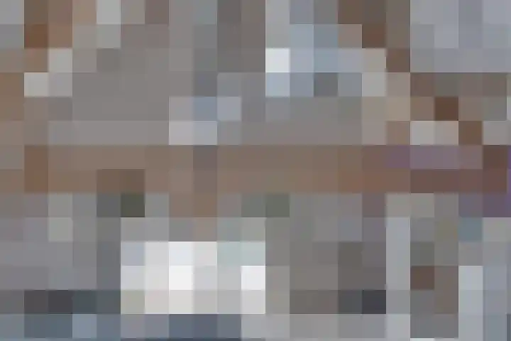 Eerste Dijk 4 Sint-Maartensdijk thumbnail 49