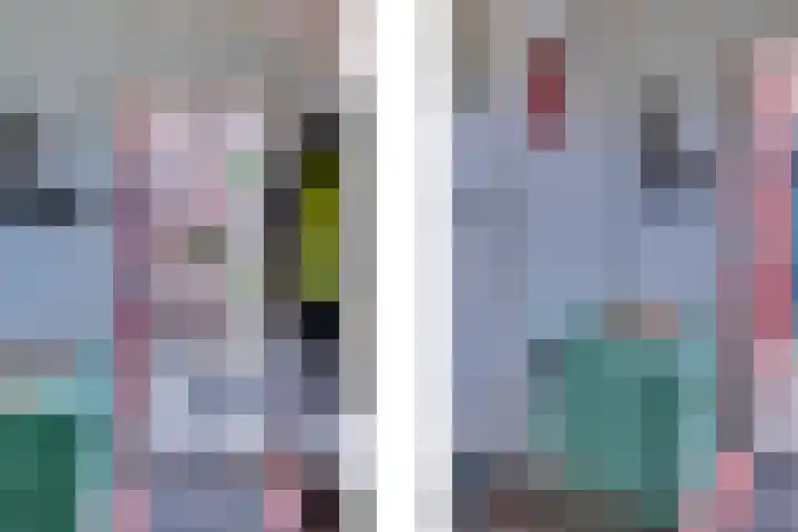 Eerste Dijk 4 Sint-Maartensdijk thumbnail 5
