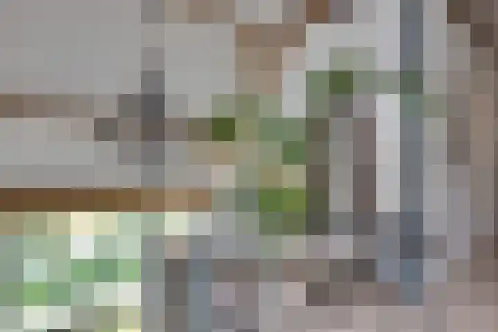 Eerste Dijk 4 Sint-Maartensdijk thumbnail 50
