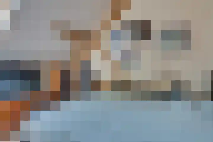 Eerste Dijk 4 Sint-Maartensdijk thumbnail 52