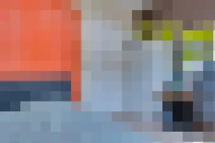 Eerste Dijk 4 Sint-Maartensdijk thumbnail 53
