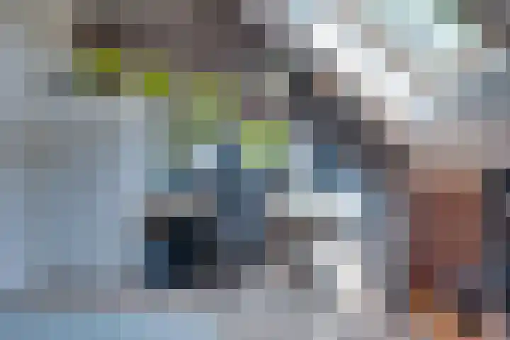 Eerste Dijk 4 Sint-Maartensdijk thumbnail 55