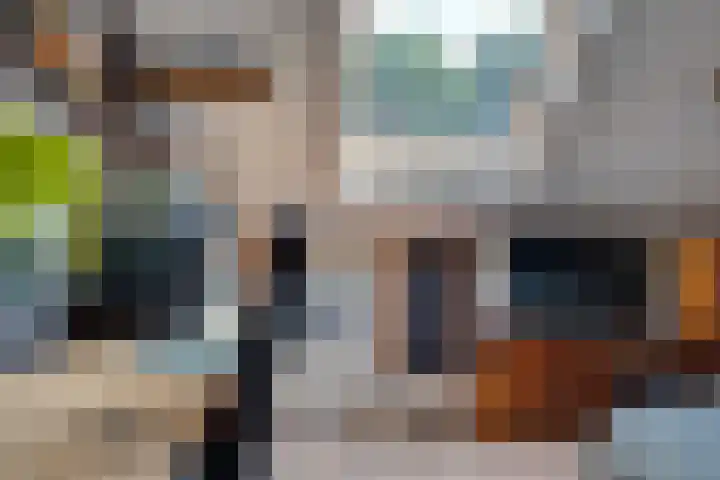 Eerste Dijk 4 Sint-Maartensdijk thumbnail 56
