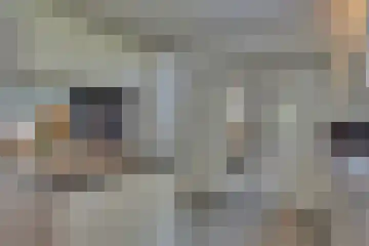 Eerste Dijk 4 Sint-Maartensdijk thumbnail 6