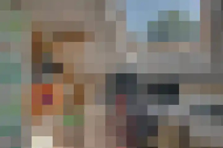Eerste Dijk 4 Sint-Maartensdijk thumbnail 60