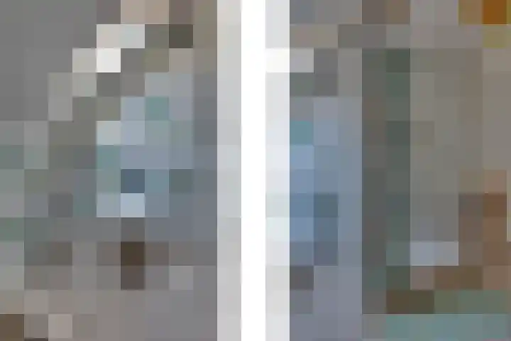 Eerste Dijk 4 Sint-Maartensdijk thumbnail 61