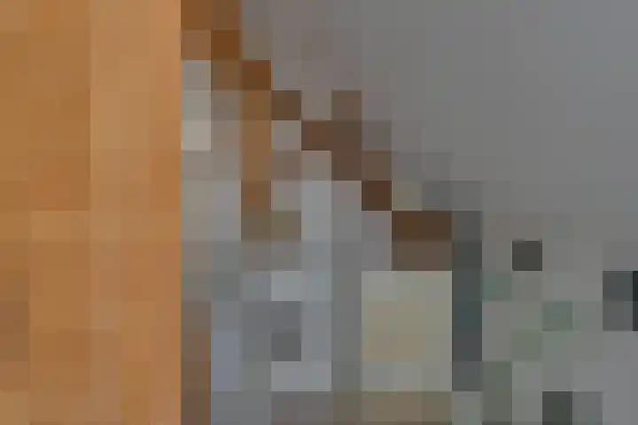 Eerste Dijk 4 Sint-Maartensdijk thumbnail 63