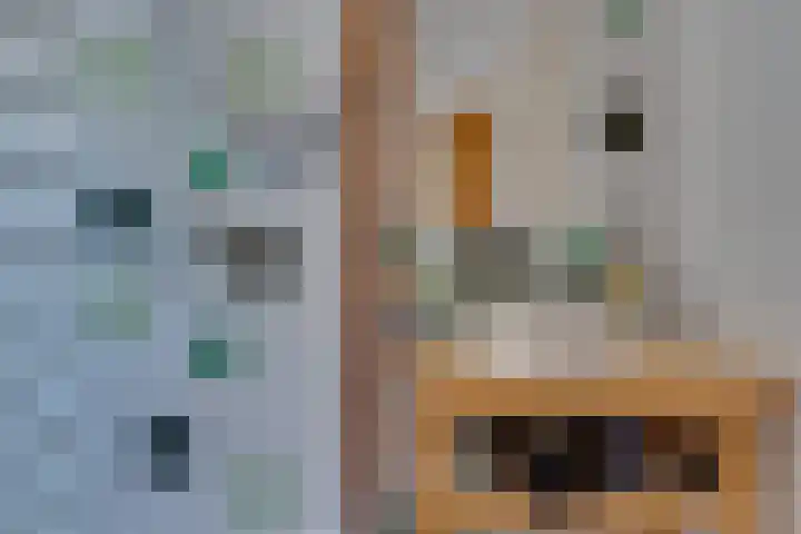 Eerste Dijk 4 Sint-Maartensdijk thumbnail 64